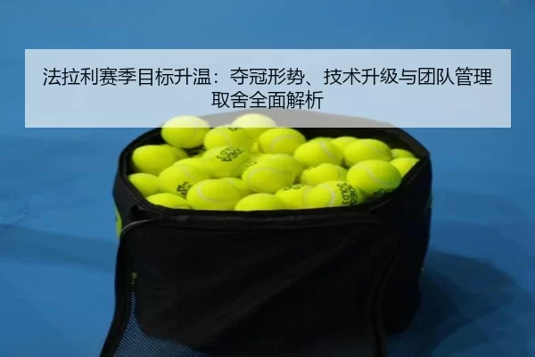 fa-la-li-sai-ji-mu-biao-sheng-wen-duo-guan-xing-shi-ji-shu-sheng-ji-yu-tuan-dui-guan-li-qu-she-quan-mian-jie-xi-2-681.jpg